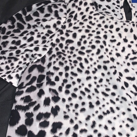 Apt. 9 Top - Picture 3 of 8